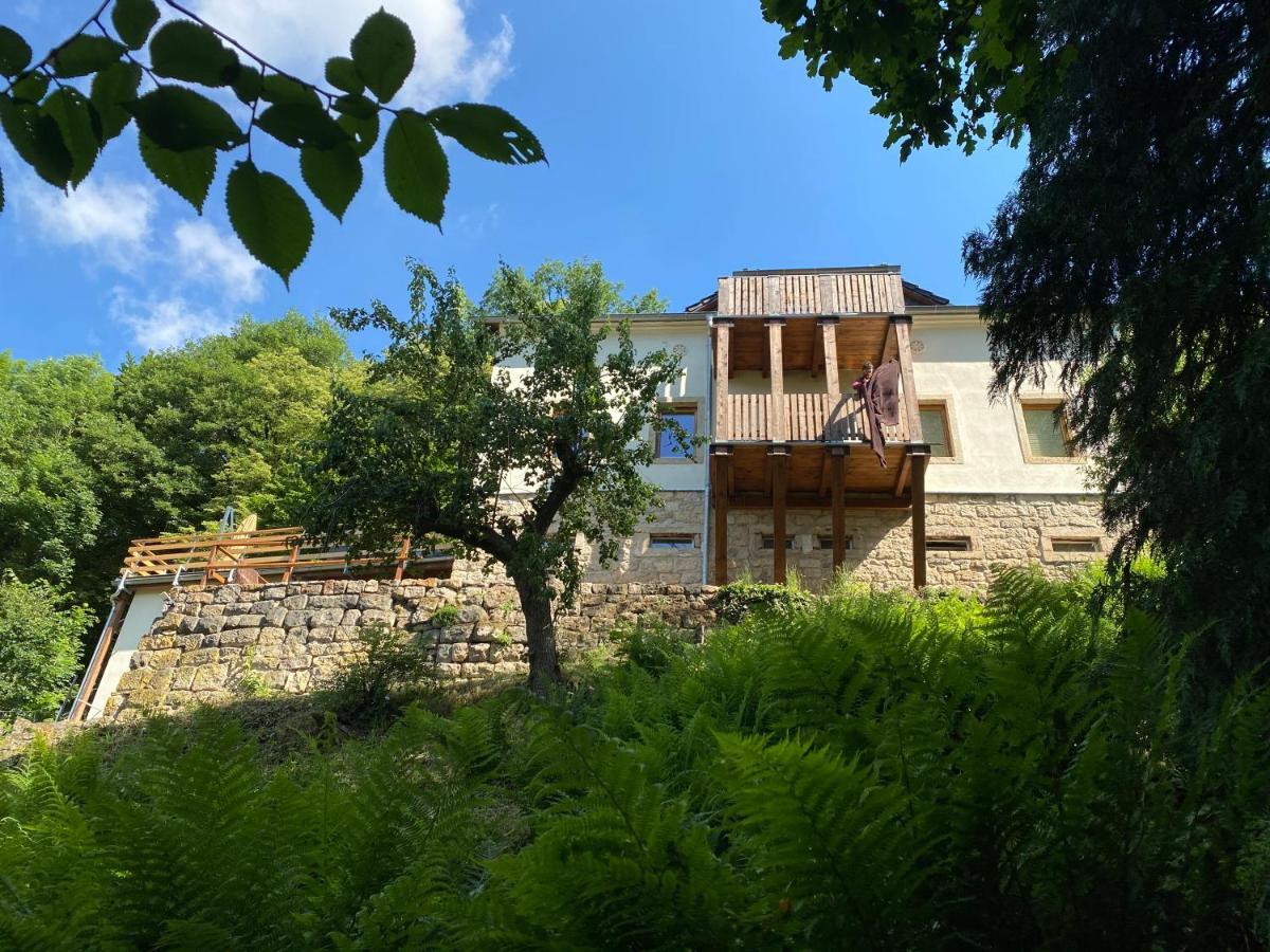 Luxusboofe - Ferienhaus Am Lilienstein كونيجشتاين آن دير إلب المظهر الخارجي الصورة